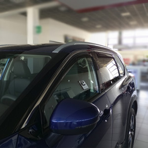 copy of Deflettori aria...